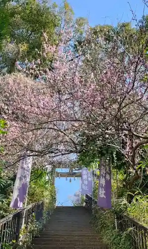 牛天神北野神社(東京都)