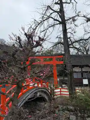 賀茂御祖神社（下鴨神社）(京都府)