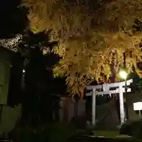 水神社の自然