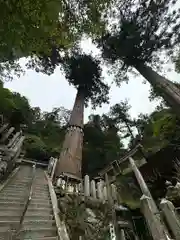 由岐神社(京都府)