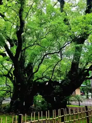 浜松八幡宮(静岡県)