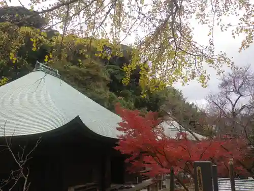 長勝寺の景色