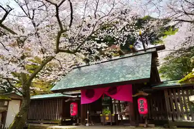 金崎宮の本殿・本堂