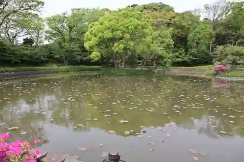 鶴岡八幡宮の景色