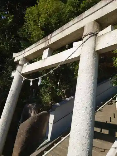 北新羽杉山神社の鳥居