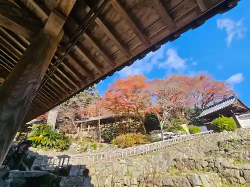 長谷寺(奈良県)