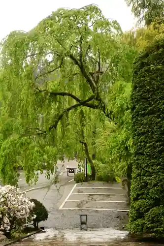 玉泉寺(埼玉県)