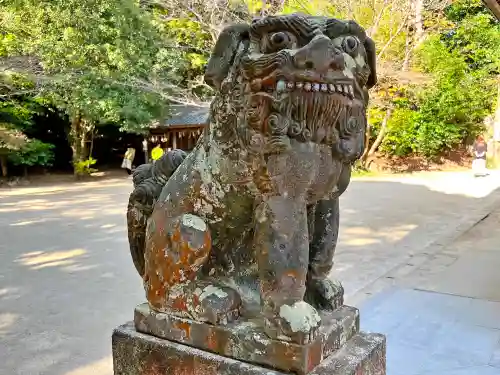 櫻井神社の狛犬