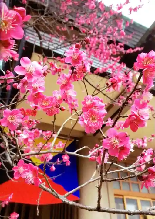 東郷神社(東京都)