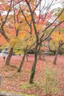 禅林寺(永観堂)(京都府)