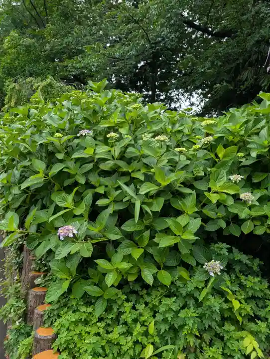 長遠寺(神奈川県)