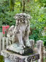 大和神社(奈良県)