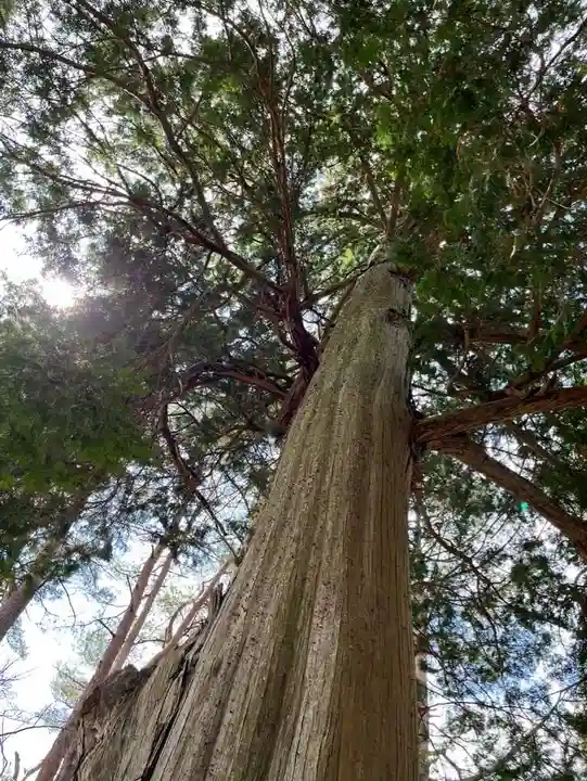 北口本宮冨士浅間神社(山梨県)