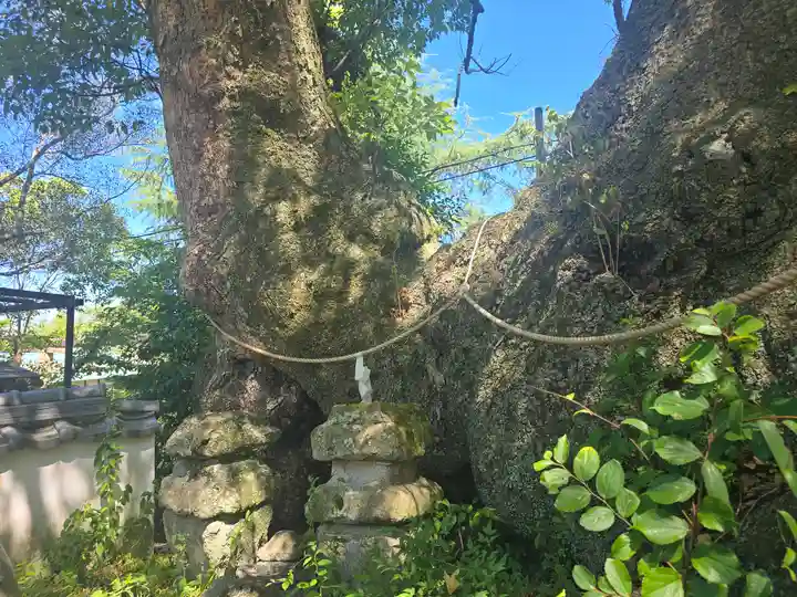 藤白神社(和歌山県)