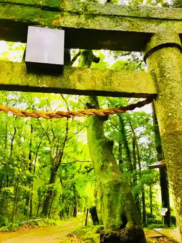 飯名神社の鳥居