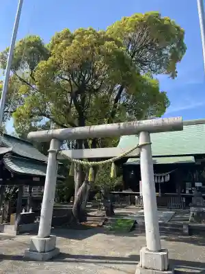 岩瀬五社稲荷神社の{uncategorized: "未分類", other: "その他", undefined: "問題あり", building: "その他建物", grave: "お墓", sacred_gate: "鳥居", guardian: "狛犬", statue: "像", buddha: "仏像", history: "歴史", nature: "自然", garden: "庭園", animal: "動物", pagoda: "塔", temizu: "手水舎", mountain_gate: "山門・神門", sanctuary: "本殿・本堂", subordinate: "末社・摂社", art: "芸術", scenery: "景色", jizo: "地蔵", ema: "絵馬", goshuin: "御朱印", omikuji: "おみくじ", items: "授与品その他", amulet: "お守り", goshuincho: "御朱印帳", eats: "食事", festival: "お祭り", votive_dance: "神楽", shichigosan: "七五三参", wedding: "結婚式", experience: "体験その他", initially: "初詣", around: "周辺", anti_infection: "感染症対策"}