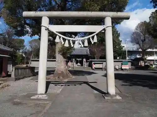 日吉浅間神社の鳥居