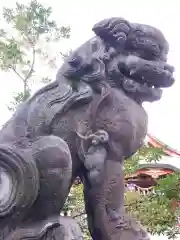 東神奈川熊野神社の狛犬