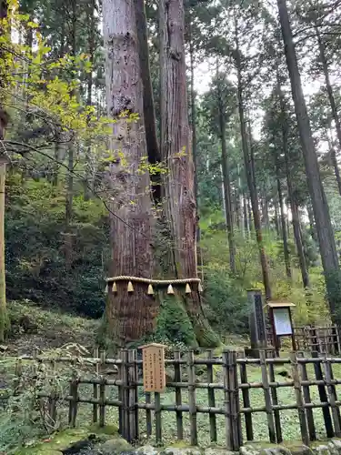 御岩神社の庭園