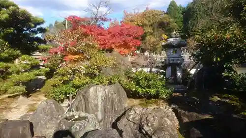 天龍寺の庭園