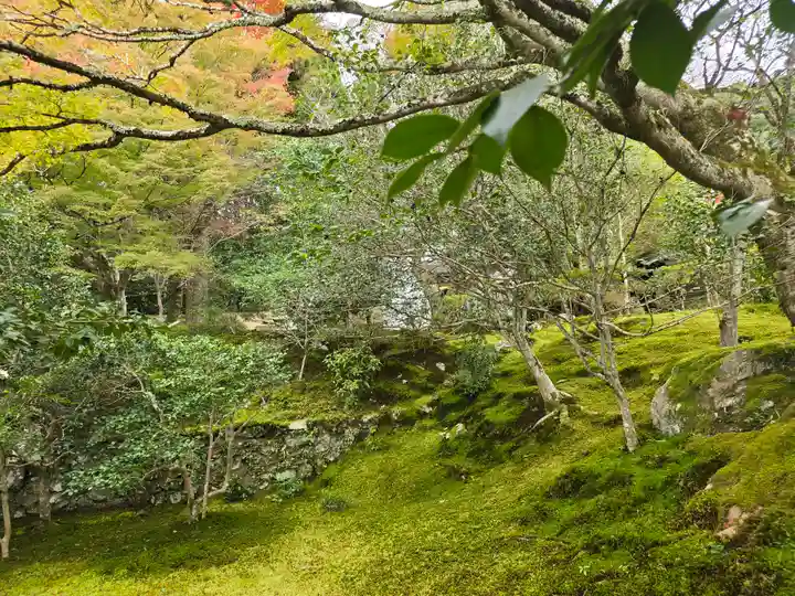 霊鑑寺門跡(京都府)