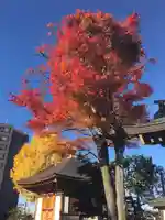 福住寺(北海道)