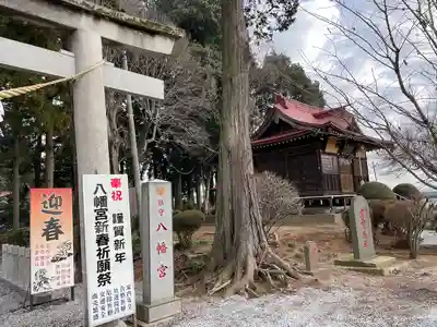 天狗山雷電神社の周辺