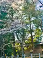 岡見八坂神社の自然