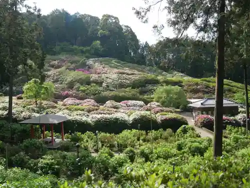 三室戸寺の景色