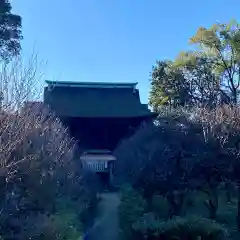 道明寺天満宮(大阪府)