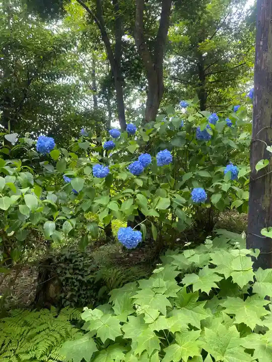 石都々古和気神社(福島県)