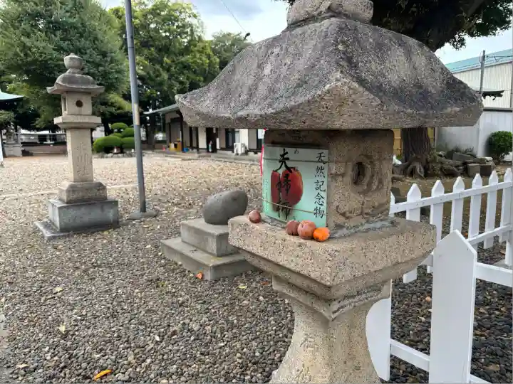 新曽氷川神社(埼玉県)