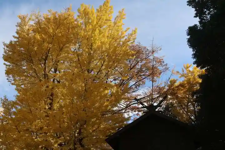 阿邪訶根神社の自然