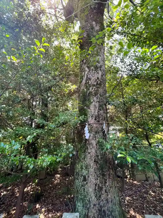 伊勢神社(栃木県)