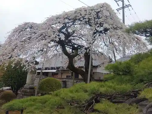 寛立院（曼陀羅寺塔頭）(愛知県)