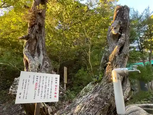 出羽神社の庭園