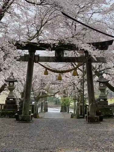 天鷹神社の鳥居