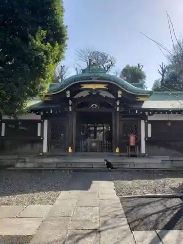 白金氷川神社の本殿・本堂
