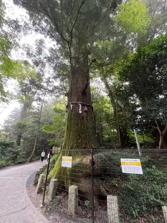 高尾山薬王院(東京都)