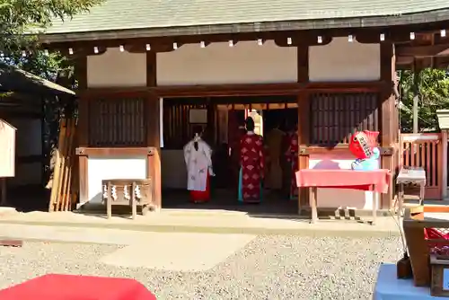 川越氷川神社(埼玉県)