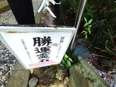 勝呂神社(埼玉県)