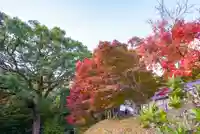 両足寺(山口県)