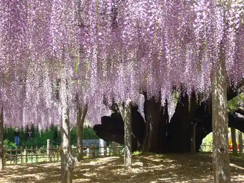 玉敷神社(埼玉県)