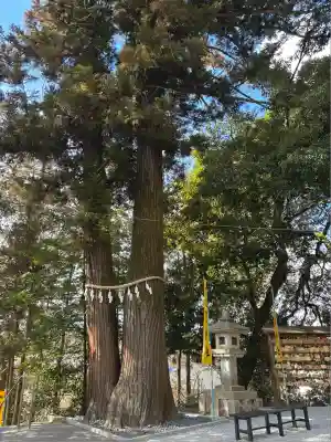 聖神社(埼玉県)