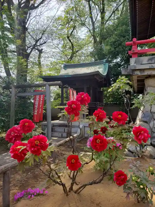 愛染院(東京都)