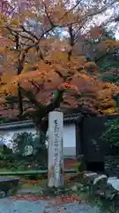 南禅寺の建物その他