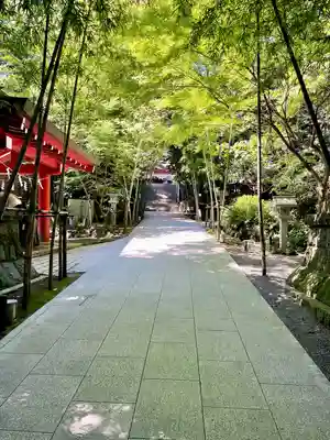 來宮神社(静岡県)