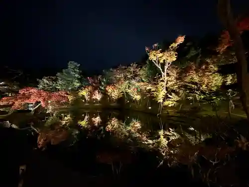 高台寺（高台寿聖禅寺・高臺寺）(京都府)