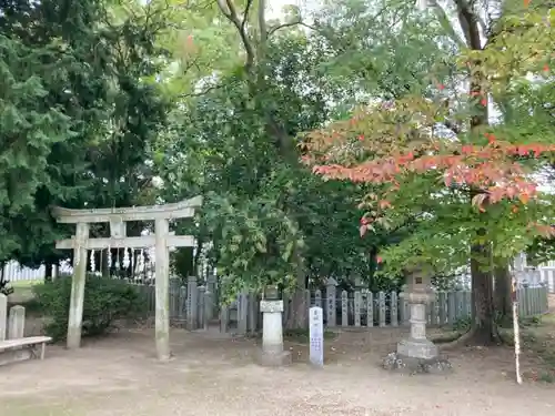 泊神社の鳥居