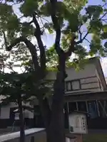 空知神社の自然